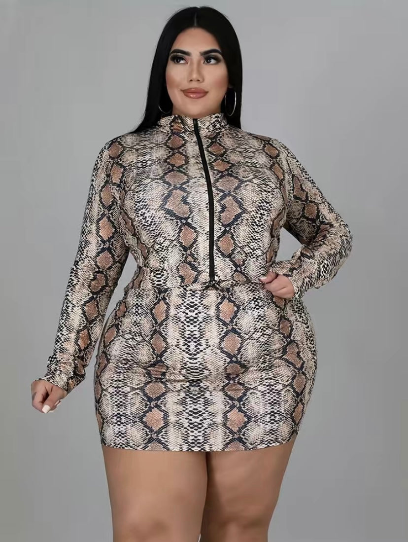 Thelz Snake Skin Print Two Piece Set
